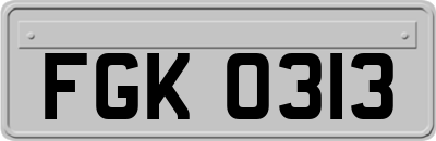 FGK0313