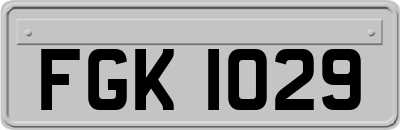 FGK1029