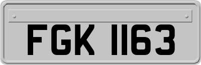 FGK1163