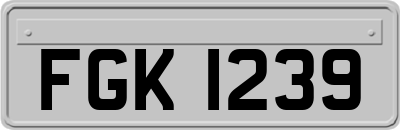 FGK1239