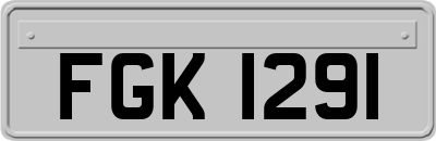 FGK1291