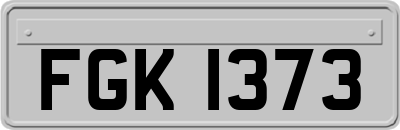 FGK1373