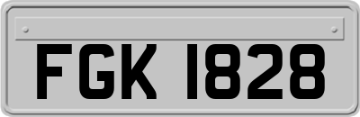 FGK1828