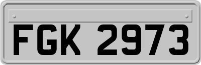 FGK2973
