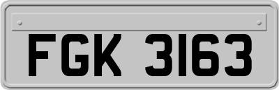 FGK3163