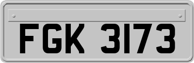 FGK3173