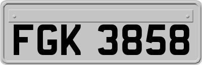 FGK3858