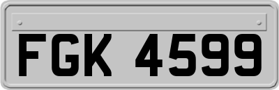 FGK4599