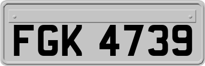 FGK4739