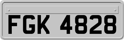 FGK4828