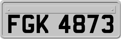 FGK4873