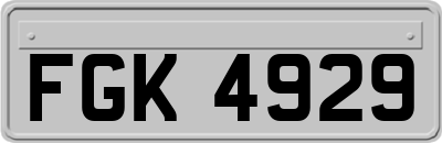 FGK4929
