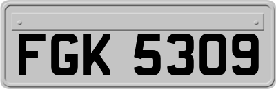 FGK5309