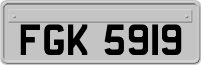 FGK5919