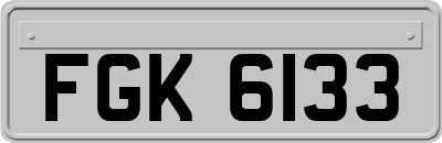 FGK6133