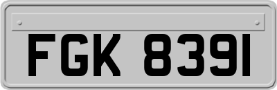 FGK8391