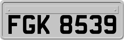 FGK8539
