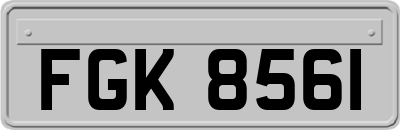 FGK8561