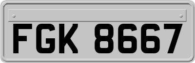 FGK8667
