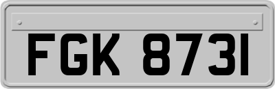 FGK8731