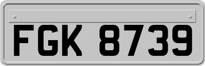 FGK8739