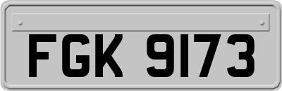 FGK9173