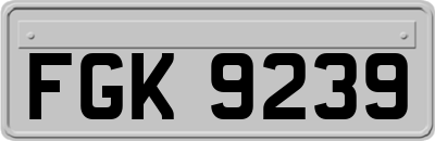FGK9239