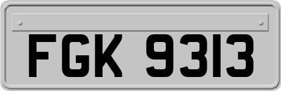 FGK9313