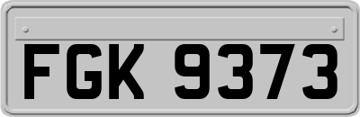 FGK9373