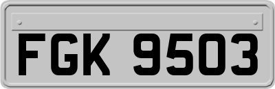FGK9503