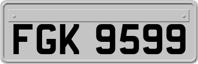 FGK9599