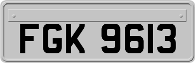 FGK9613