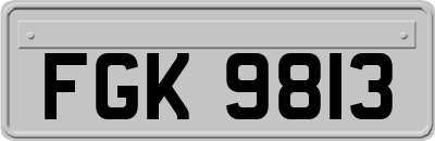 FGK9813