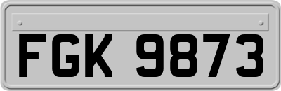 FGK9873