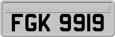 FGK9919