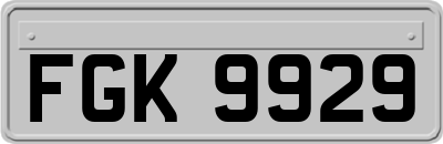 FGK9929