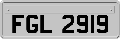 FGL2919