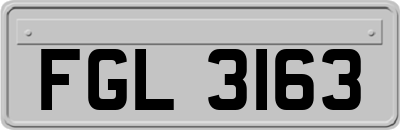 FGL3163
