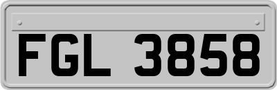 FGL3858