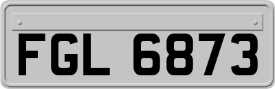 FGL6873
