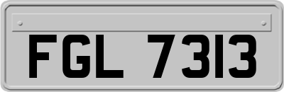 FGL7313