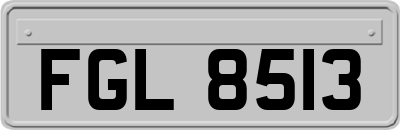 FGL8513