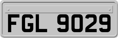 FGL9029
