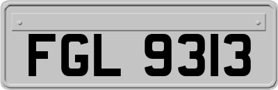 FGL9313