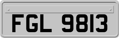 FGL9813