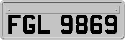 FGL9869