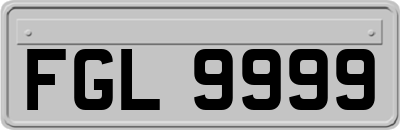 FGL9999