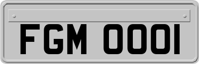 FGM0001