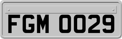 FGM0029