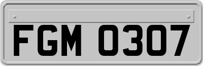 FGM0307